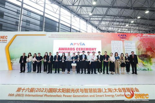 雙良2023SNEC光伏展圓滿(mǎn)落幕，連獲三項(xiàng)大獎(jiǎng)?wù)蔑@科技實(shí)力